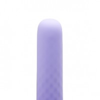 Vibrator 3.8 Inches Silicone 10-Speed Rechargeable LAVENDAR